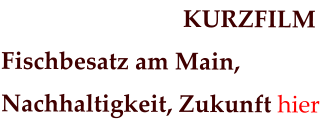 KURZFILM Fischbesatz am Main,  Nachhaltigkeit, Zukunft hier