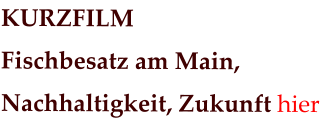 KURZFILM Fischbesatz am Main,  Nachhaltigkeit, Zukunft hier